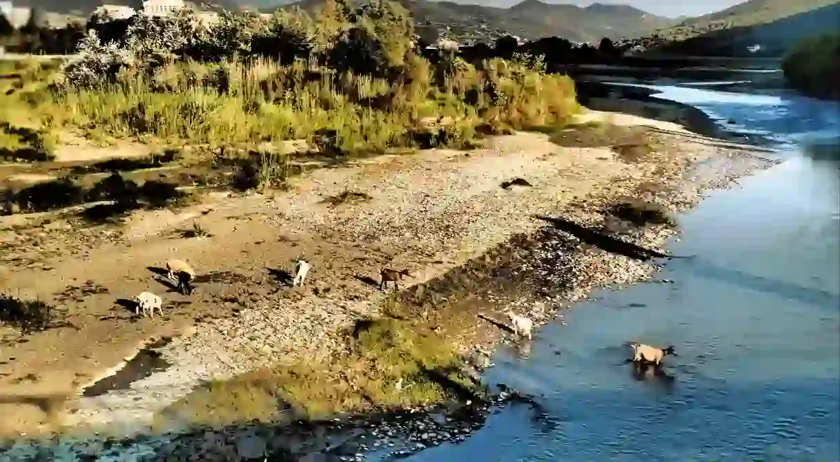 Osum River starts in Berat and continues through Corodove in the south Albania