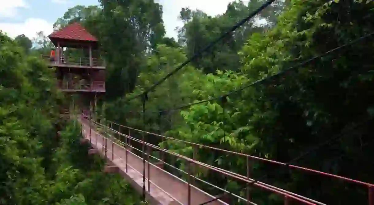 Canopy walk in Danum Valley