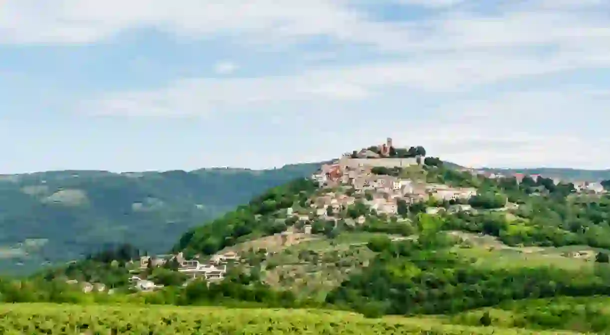 Rolling green hills of Motovun, Istria, Croatia