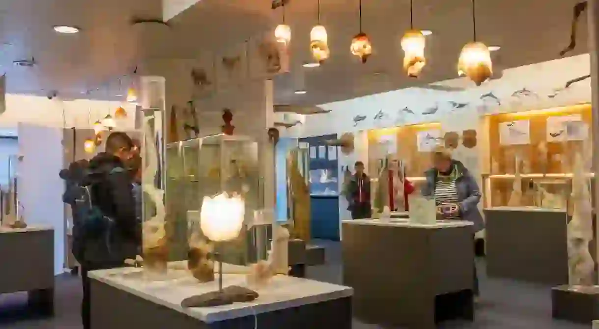 Exhibition area in the Icelandic Phallological Museum, Reykjavik, Iceland