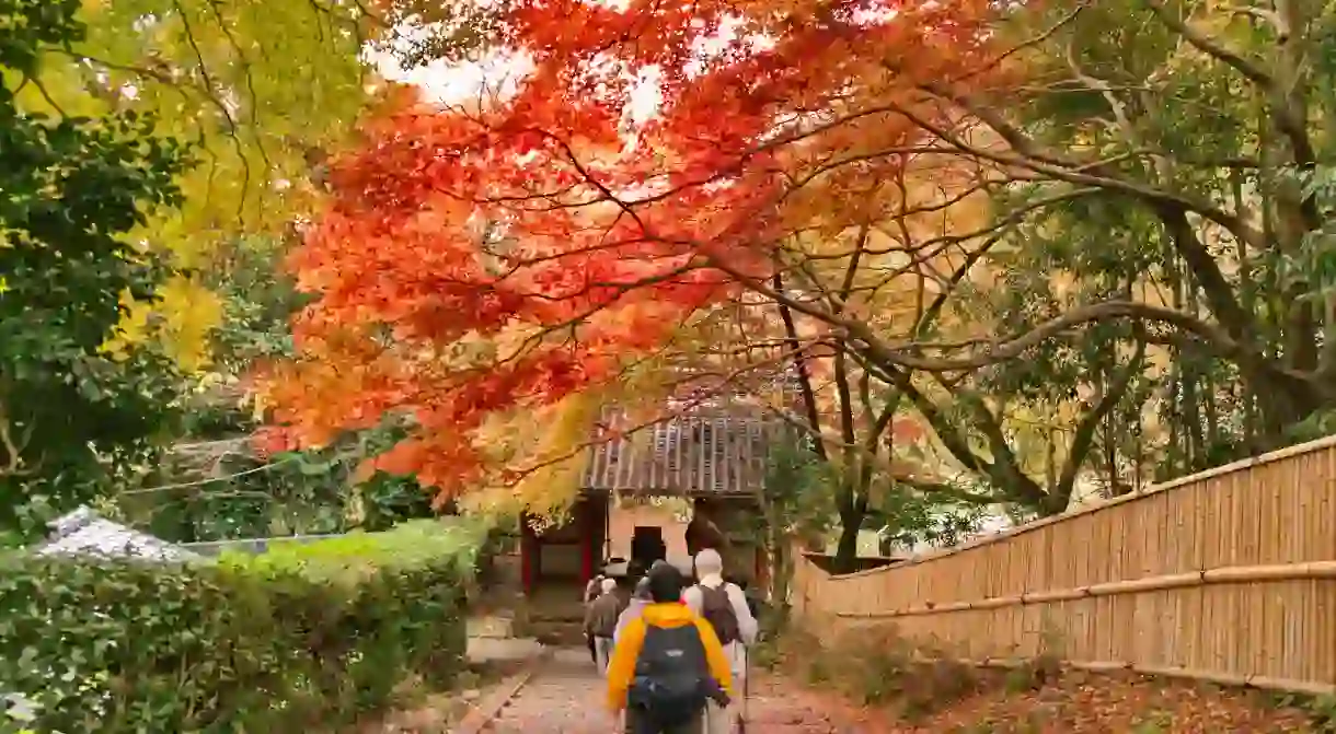 Autumn in Kyoto