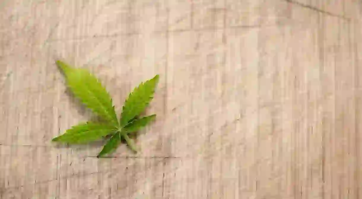 Cannabis leaf