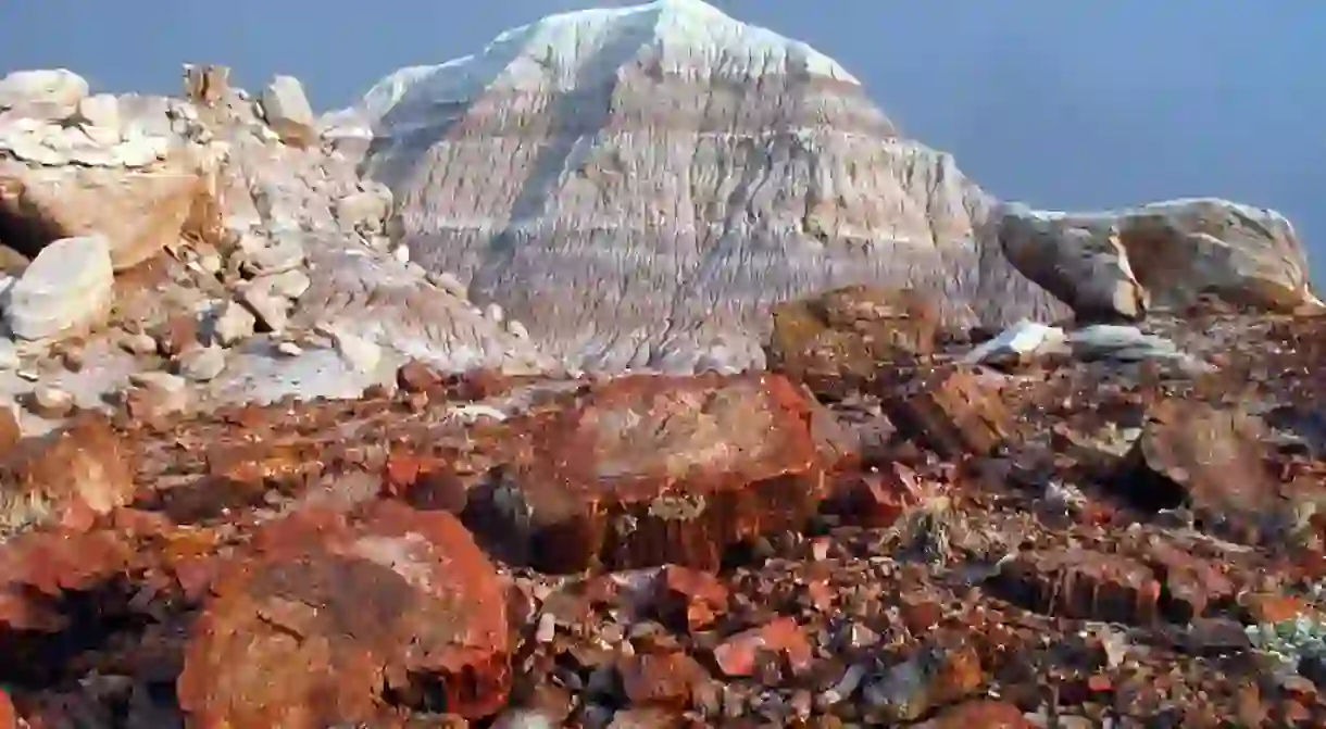 Fossilized logs share landscape with colorful badlands at Petrified Forest National Park