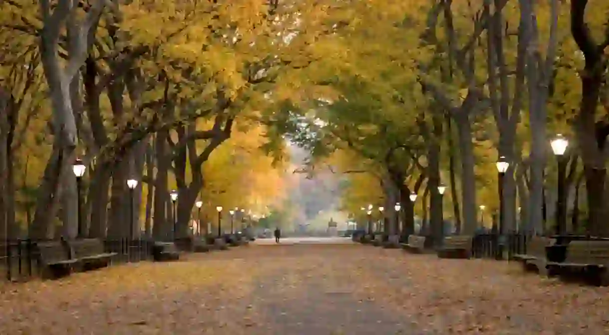 Literary Walk in Central Park, New York City