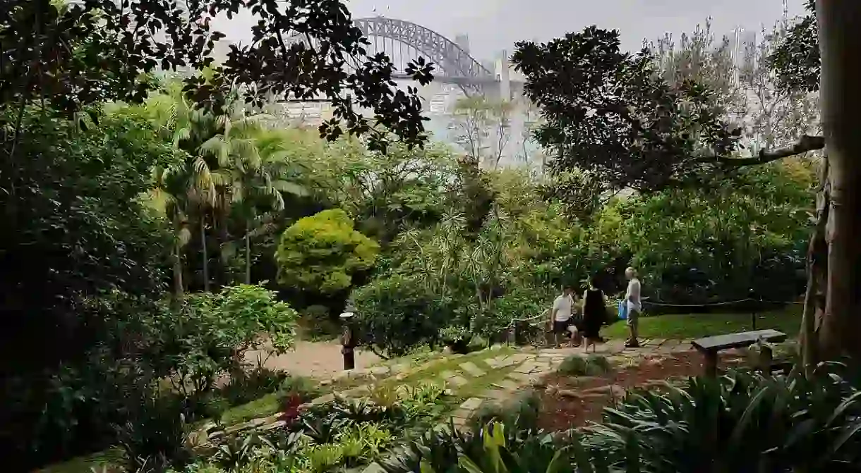 The view of Sydney Harbour from Wendy’s Secret Garden