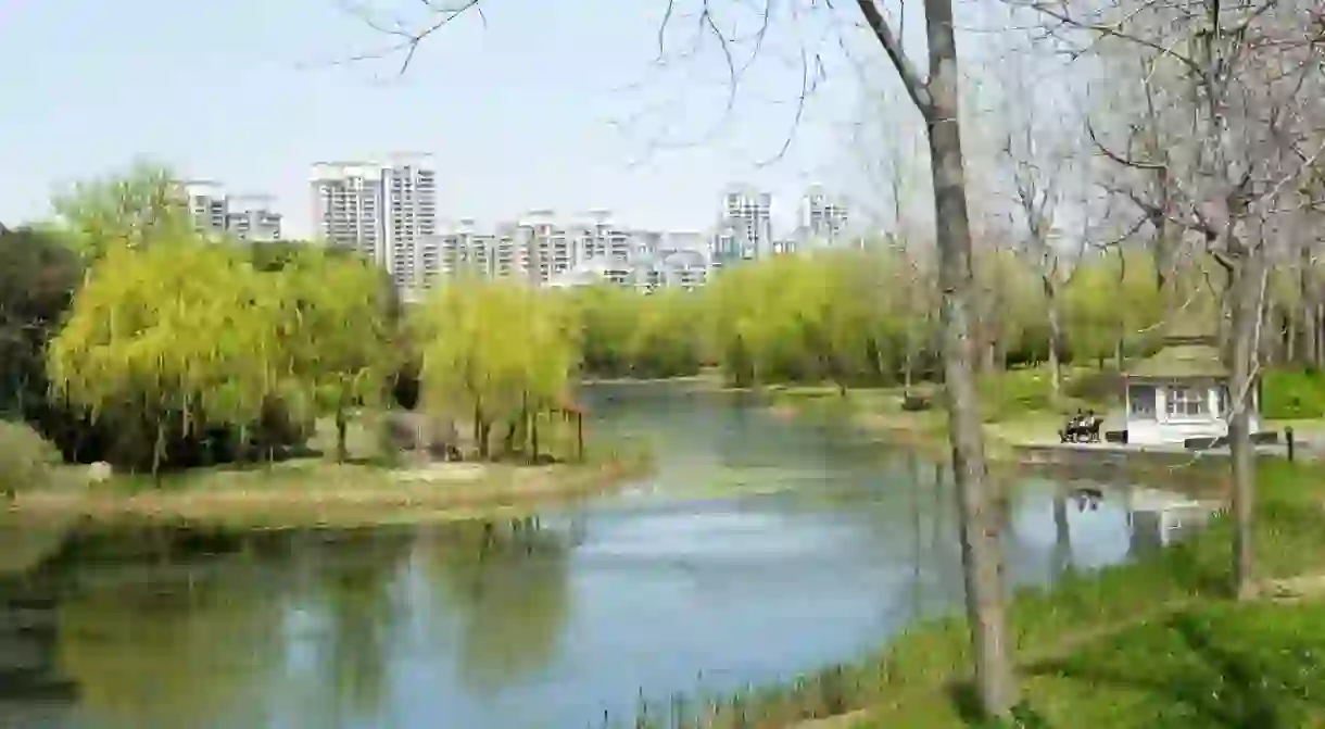 Century Park breathes much-needed life and greenery into urban Shanghai