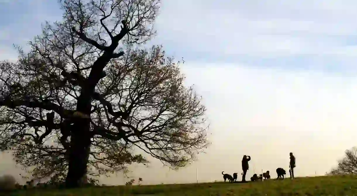 Walkers on Hampstead Heath, London