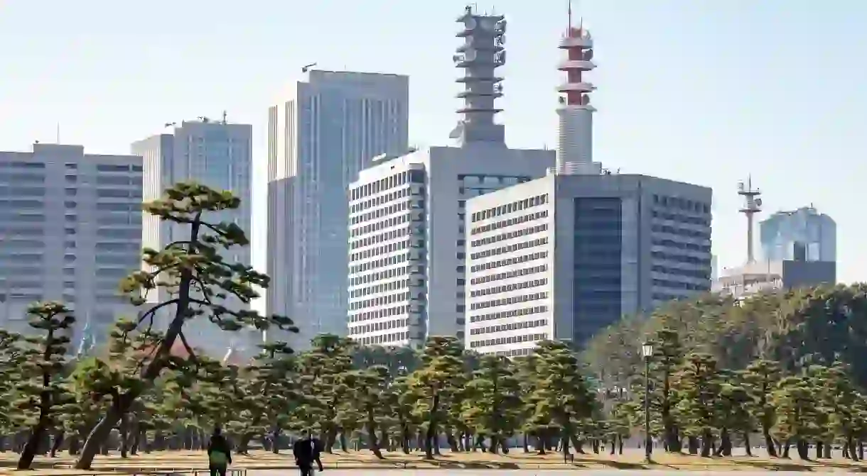 A park with pine trees on Uchibori Dori Road, Tokyo