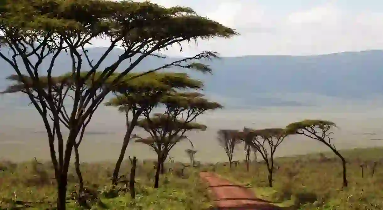 Road descending into Ngorongoro Crater, Tanzania