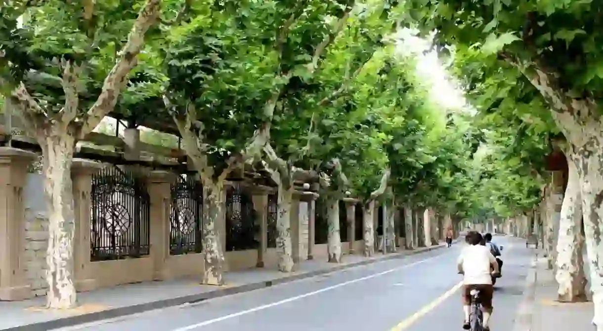 The streets in Shanghai’s former French Concession are lined with trees