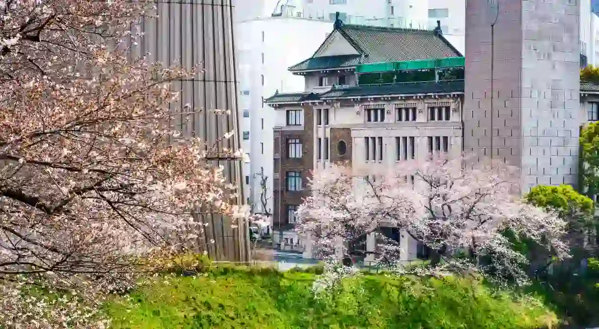 Tokyo looks beautiful in the spring