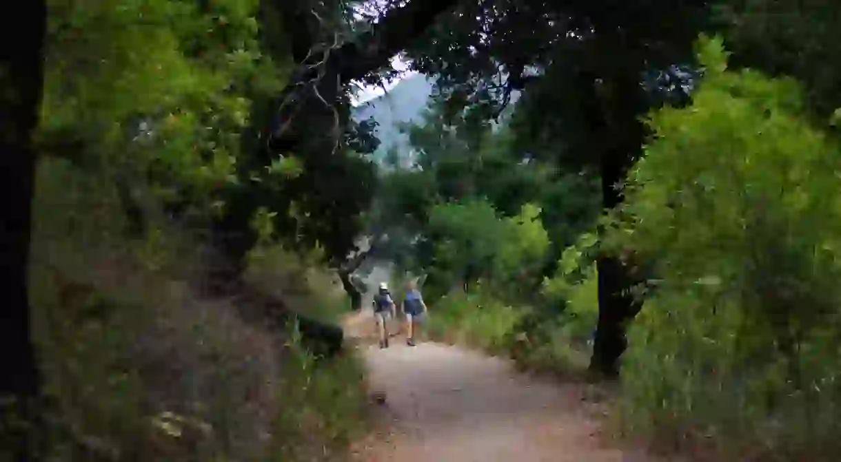 Hikers stretch their legs in Solstice Canyon