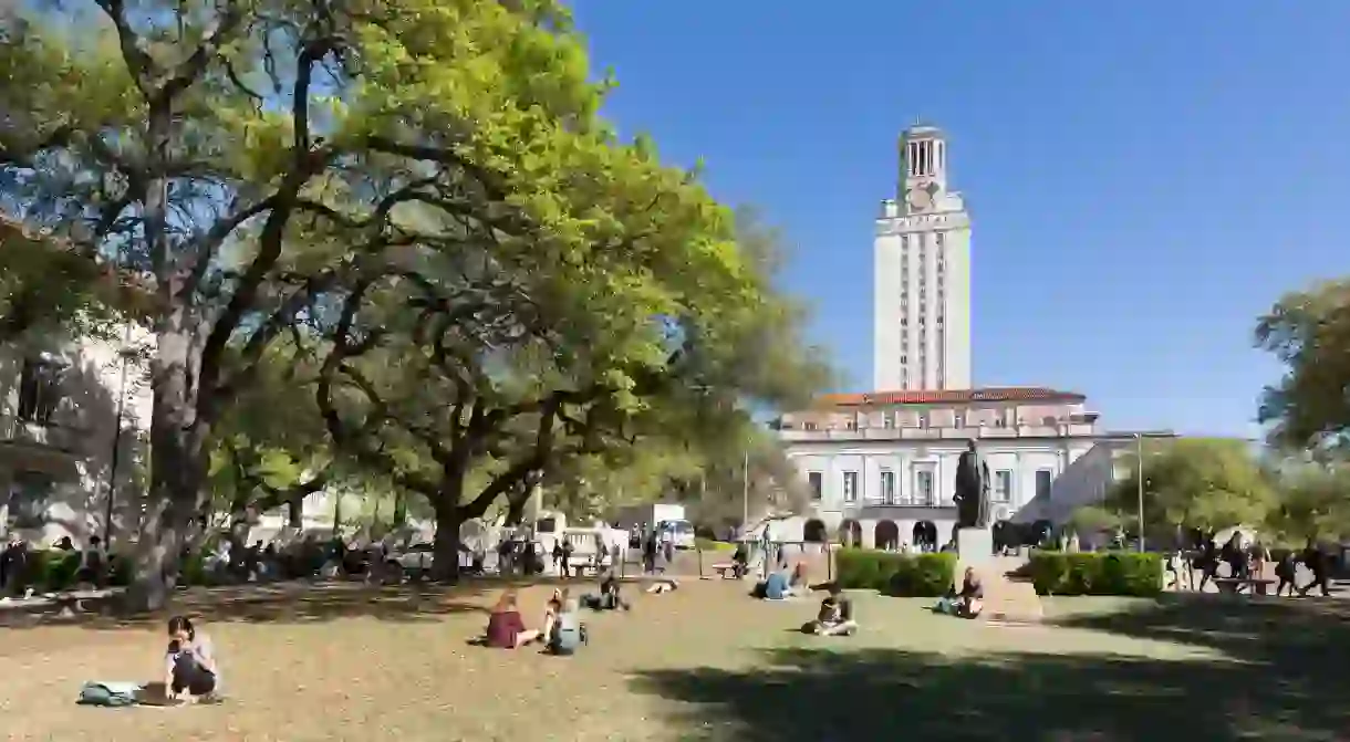 Students reading on the grass in spring sunshine, The University of Texas at Austin, Texas, USA.