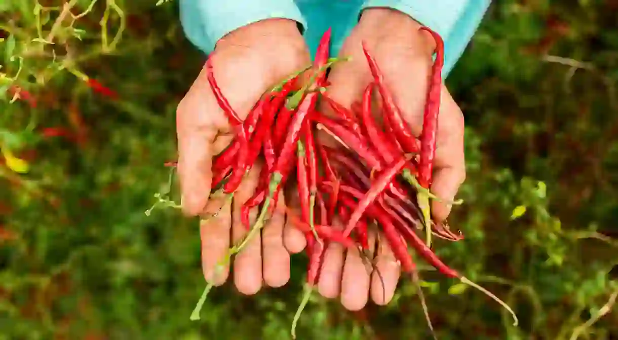 Hot sauce is an integral part of Mexico’s cuisine and home life