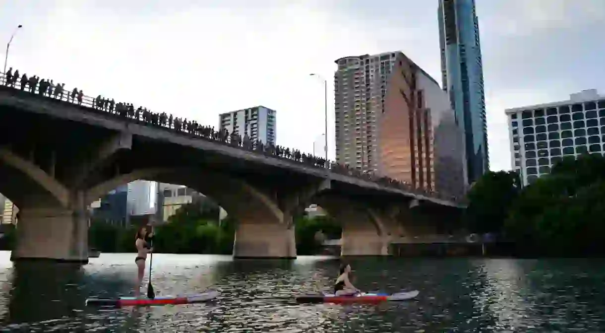 You can watch the urban bat colony emerging from beneath the Congress Avenue Bridge to feed at night