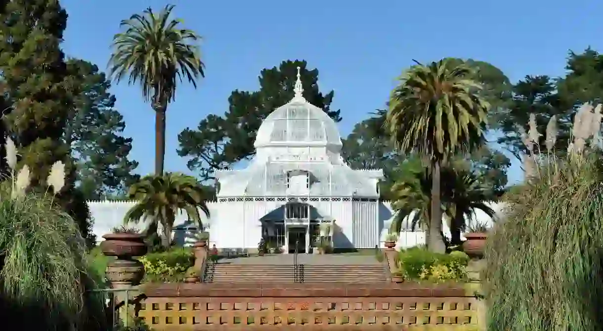 The Conservatory of Flowers in Golden Gate Park is a tropical wonderland