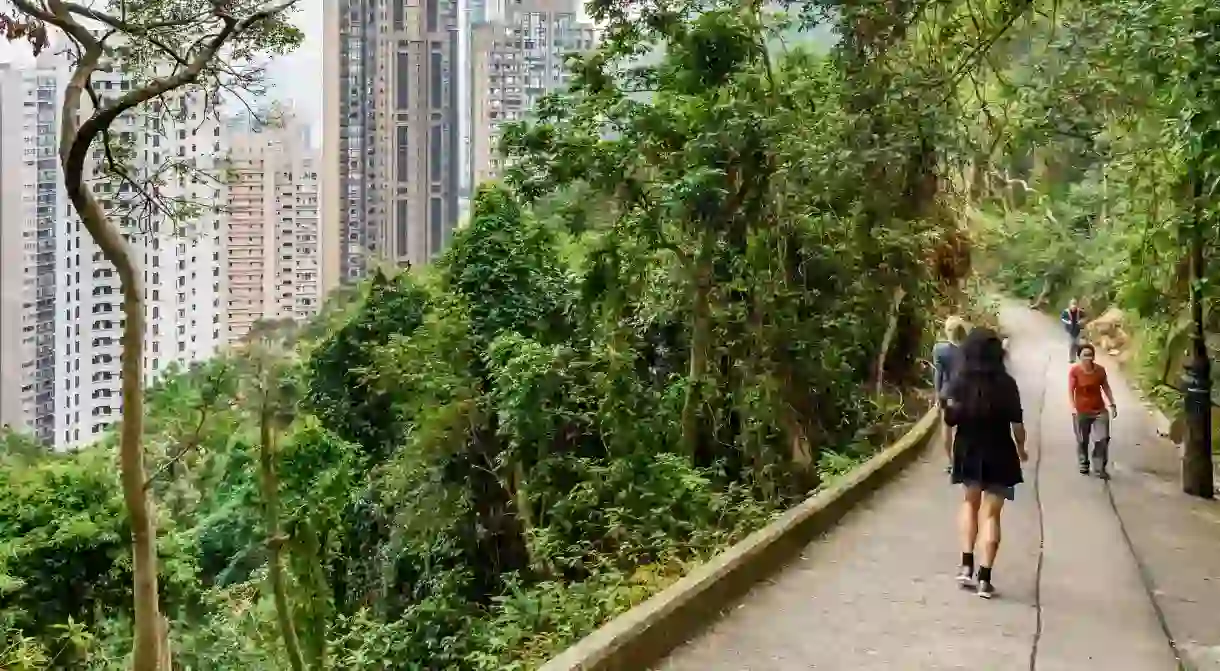 Old Peak Road is now a walking path between the Mid-Levels and Victoria Peak