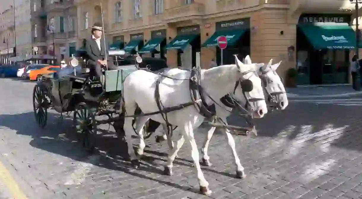 A horse carriage travels down a street in Old Town, Prague