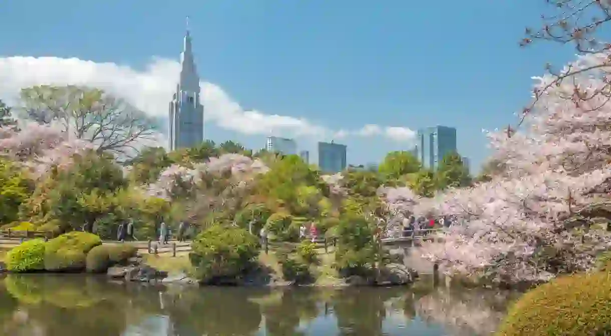 Set aside a few hours to explore nature at Shinjuku Gyoen