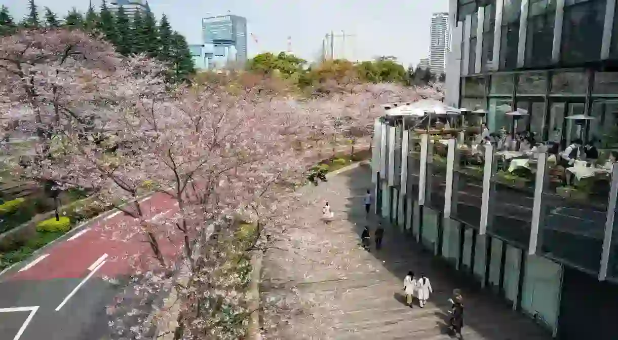 Midtown Roppongi district in spring, Tokyo, Japan.