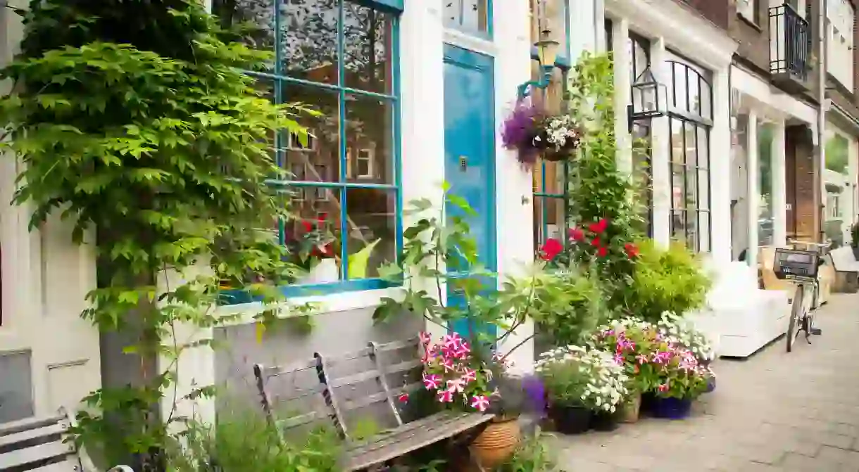 A colourful flowering facade garden with a bench in the Jordaan neighbourhood in Amsterdam