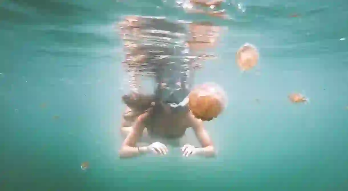 Swimming with stingless jellyfish in Raja Ampats Jellyfish Lake