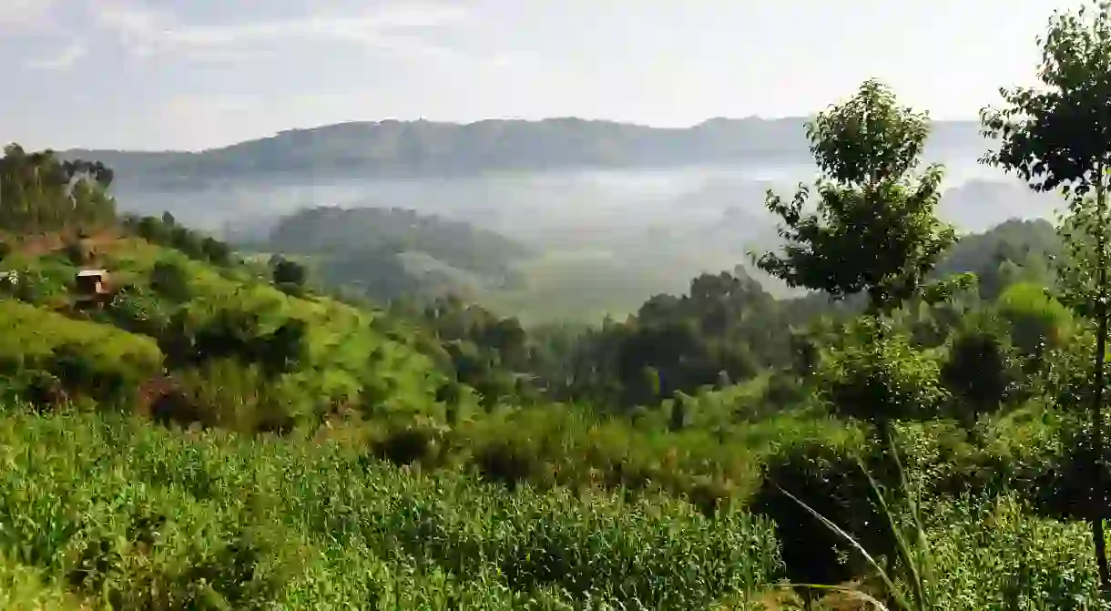 Green fertile land near the Twin Lakes Burera and Ruhondo