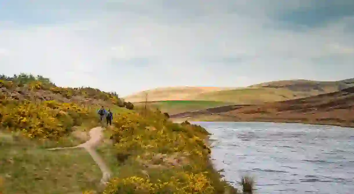 Hiking in the Pentland Hills is one of the memorable experiences offered by local guides in Edinburgh