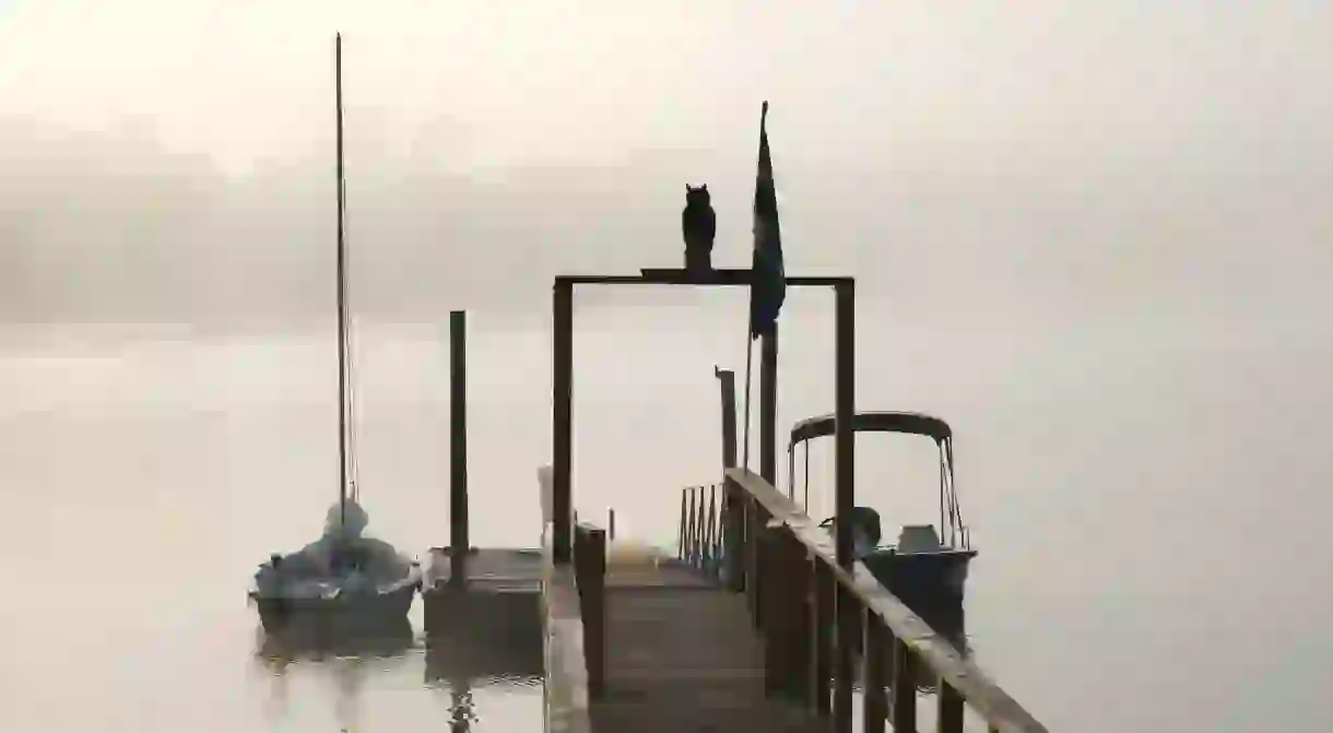 A foggy morning on Lake Murray