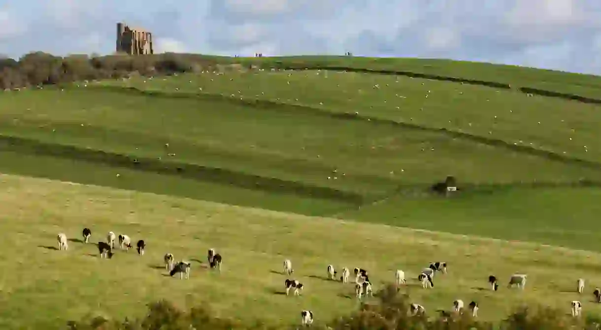 The West Country is full of historic buildings such as St Catherines Chapel, a 14th-century church overlooking the Abbotsbury countryside