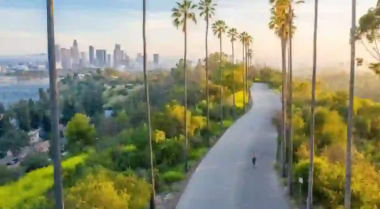 This palm-tree-lined street might be the most Instagrammable street in Downtown Los Angeles