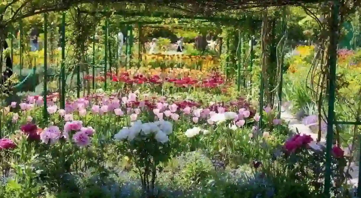 Floral recreation of Claude Monets Les Pivoines in The Giverny Gardens