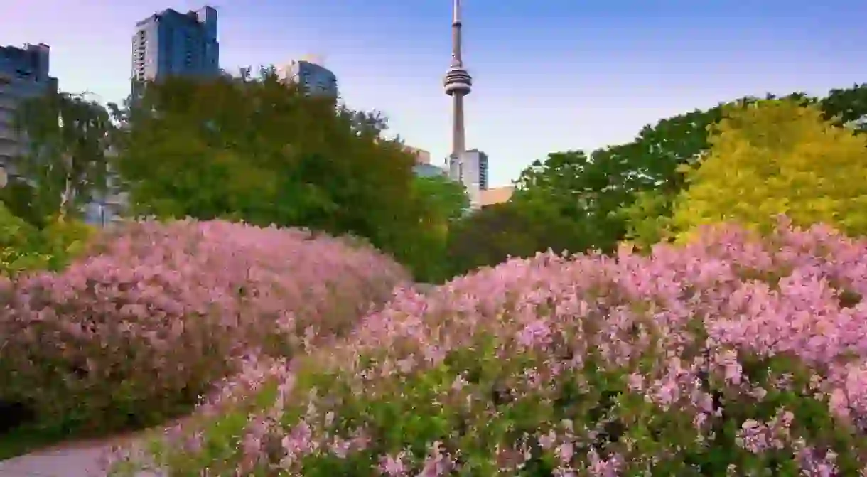 Toronto is full of expansive and unusual parks, including the spectacular Toronto Music Garden