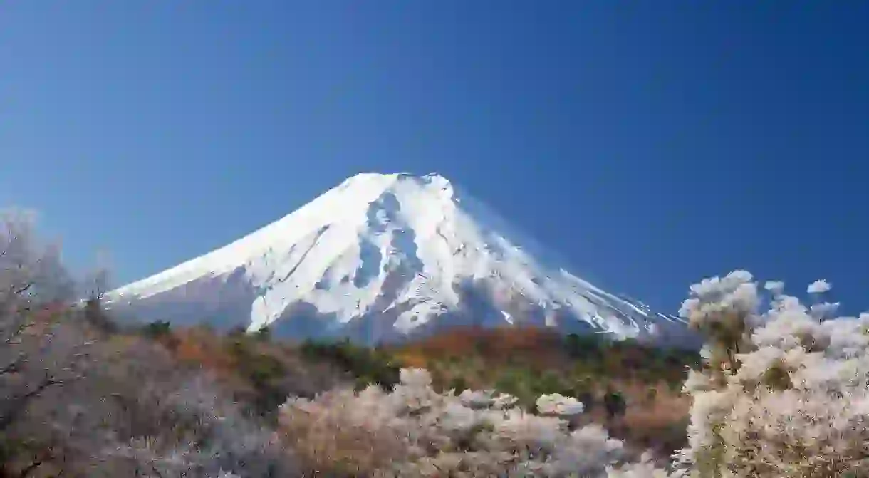 Watching the sun rise over Mt Fuji, surrounded by cherry blossoms, might be one of the most breathtaking experiences Japan has to offer.