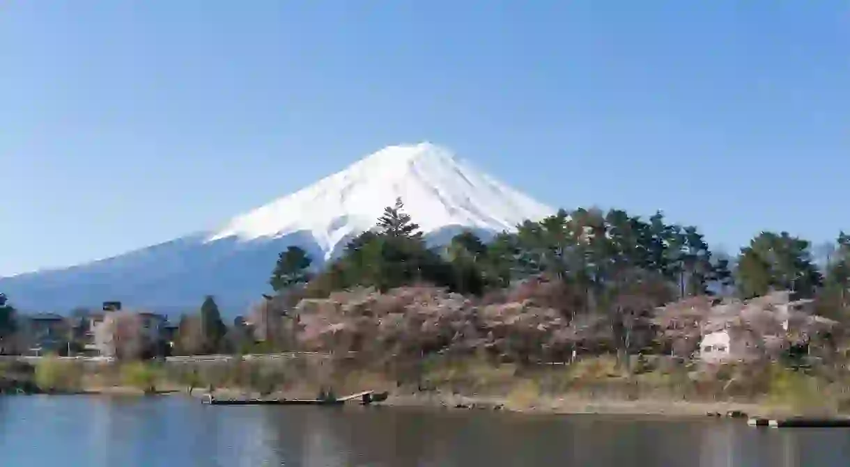 Discover the best things to do around Fuji Five Lakes