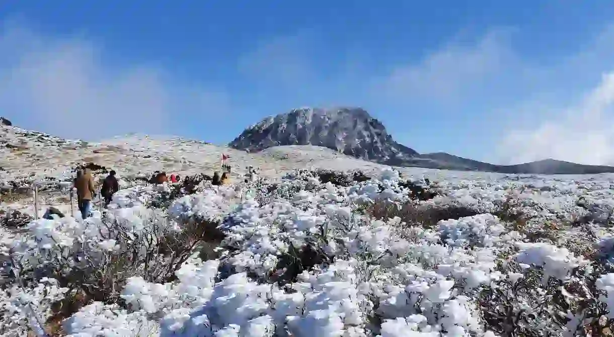 Mount Hallasans snow-capped terrain makes for perfect picturesque hikes in winter