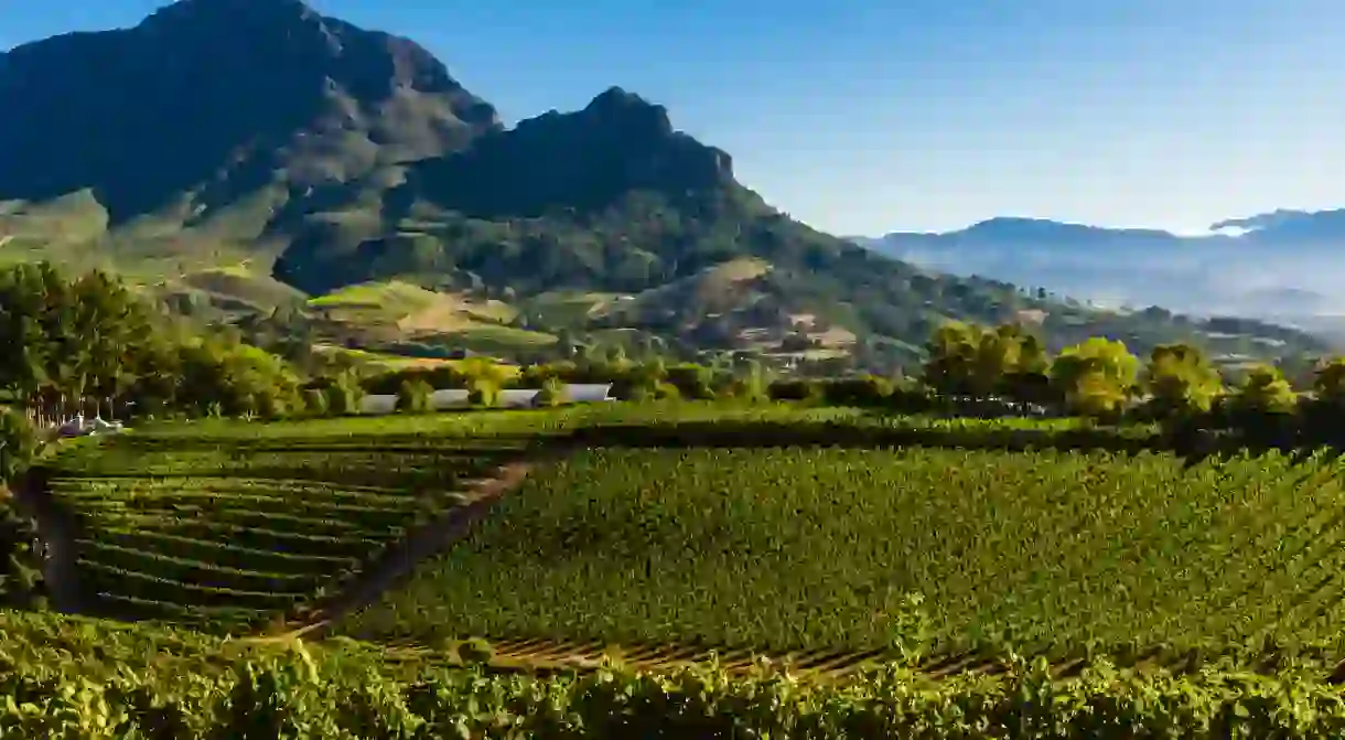 Cape Town and the Cape Winelands are the ideal place in which to savour delicious wines in spectacular locations