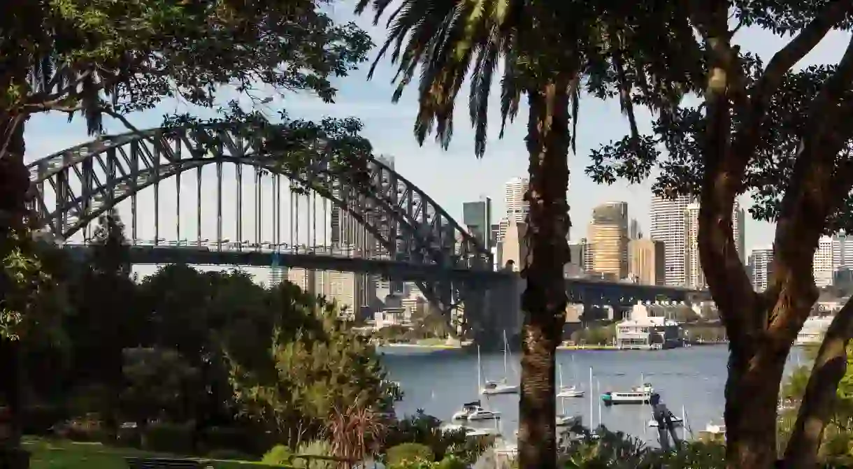 View of Harbour Bridge from Wendys Secret Garden