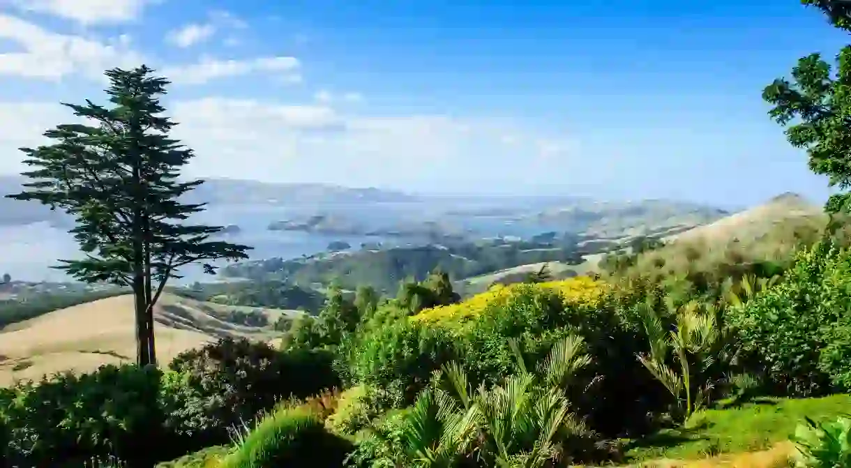 Larnach Castle offers brilliant views across the Otago Peninsula