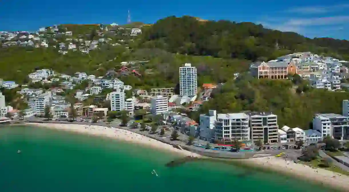 Oriental Bay and Mount Victoria are always a hive of activity