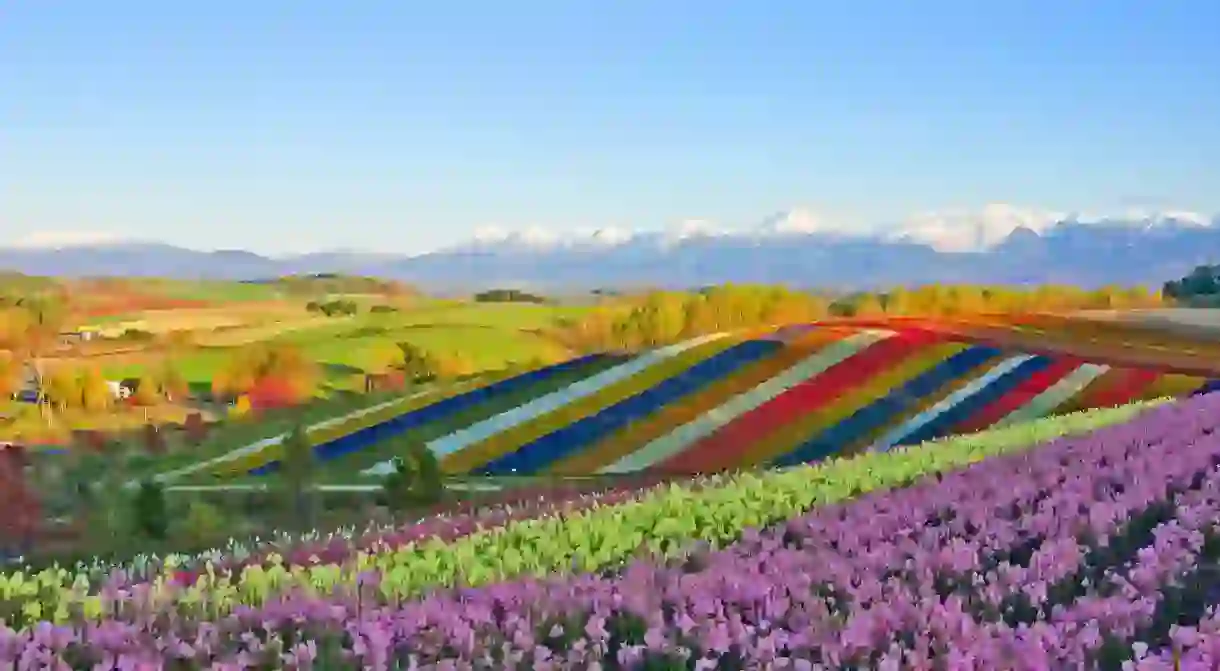 Furano transforms beautifully with the seasons