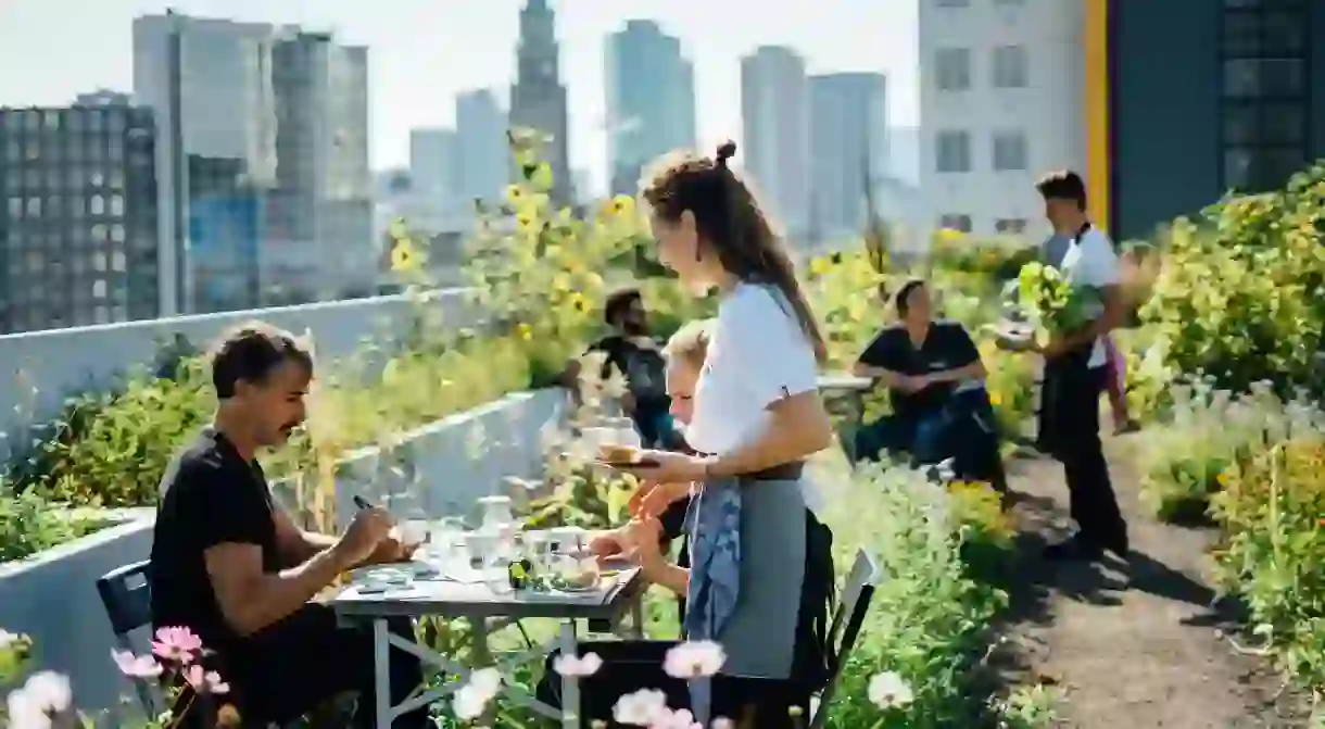 Rotterdam has a thriving café scene