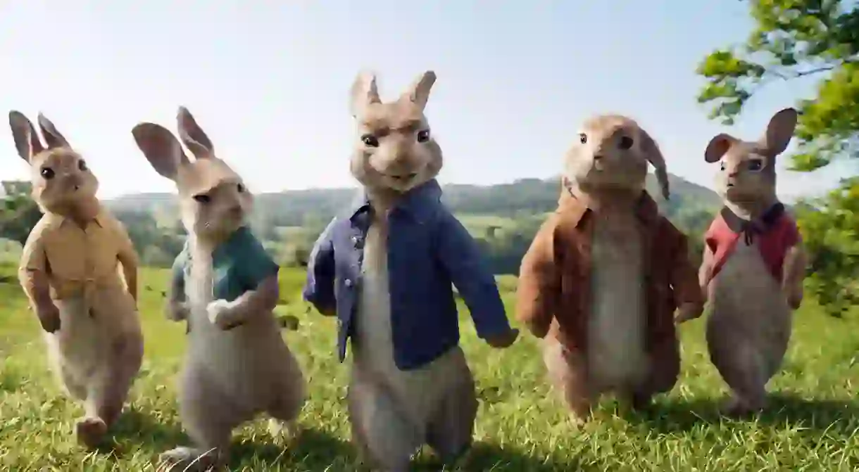 MB2NC8 Pierre Lapin Peter Rabbit 2018 Real Will Gluck. Collection Christophel © Sony pictures / Animal Logic Entertainment / Columbia pictures