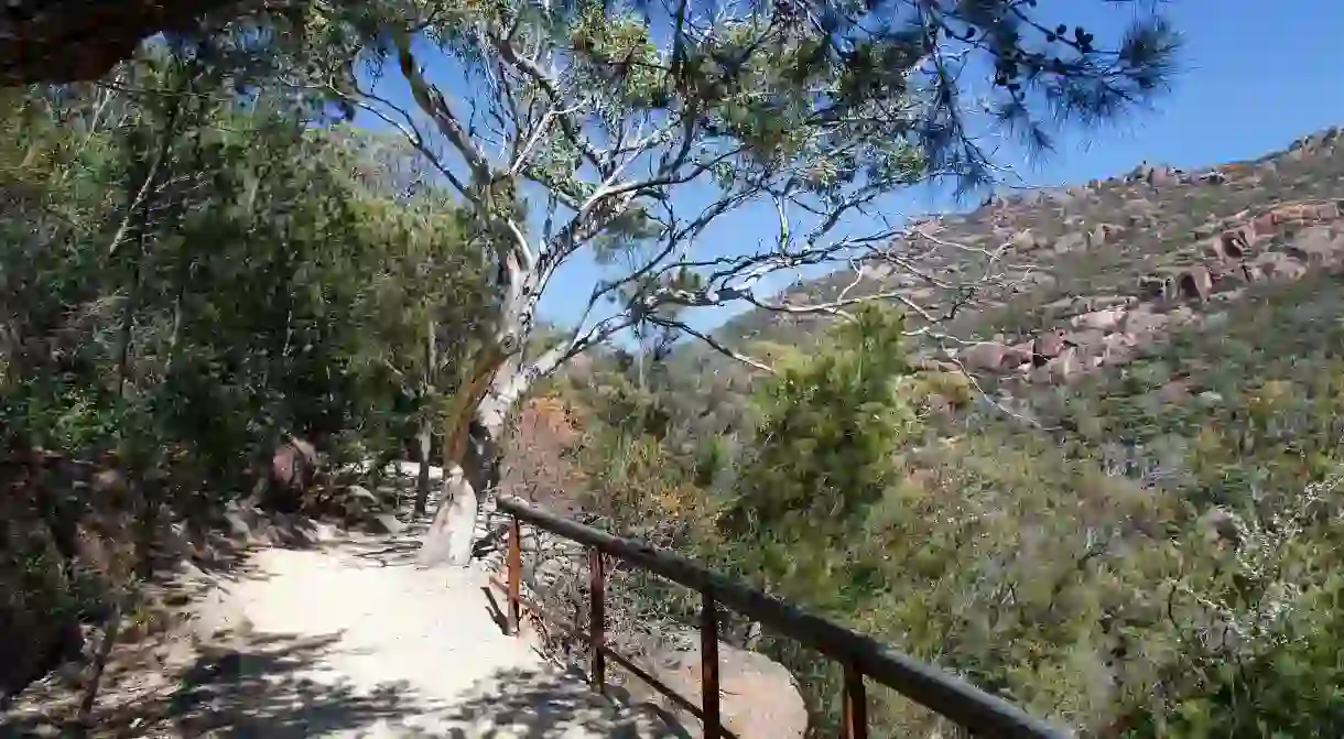 Walk your way around Tasmania, and head to the Wineglass Lookout for stunning views