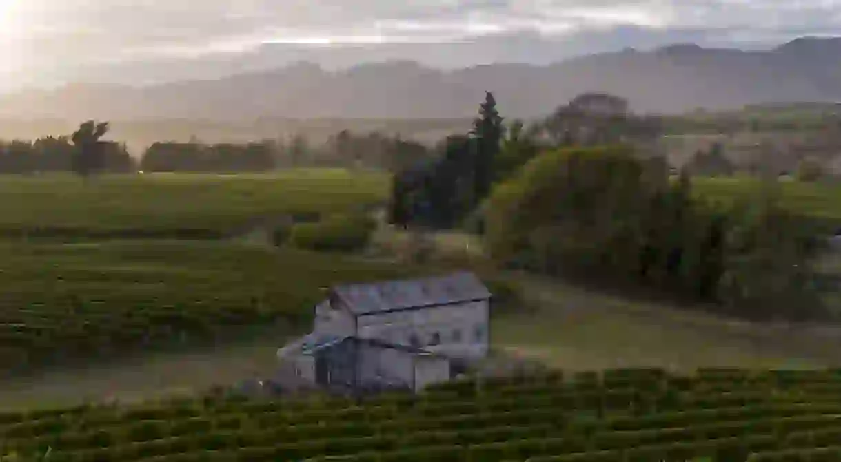 Taylors Pass Vineyard is located on the northern bank of the Awatere River in southern Marlborough