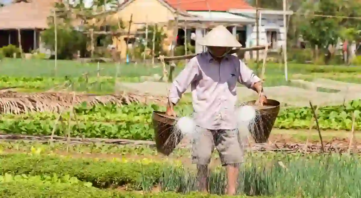 U Cafe in Hoi An gets its produce from the 300-year-old organic farm Tra Que Vegetable Village