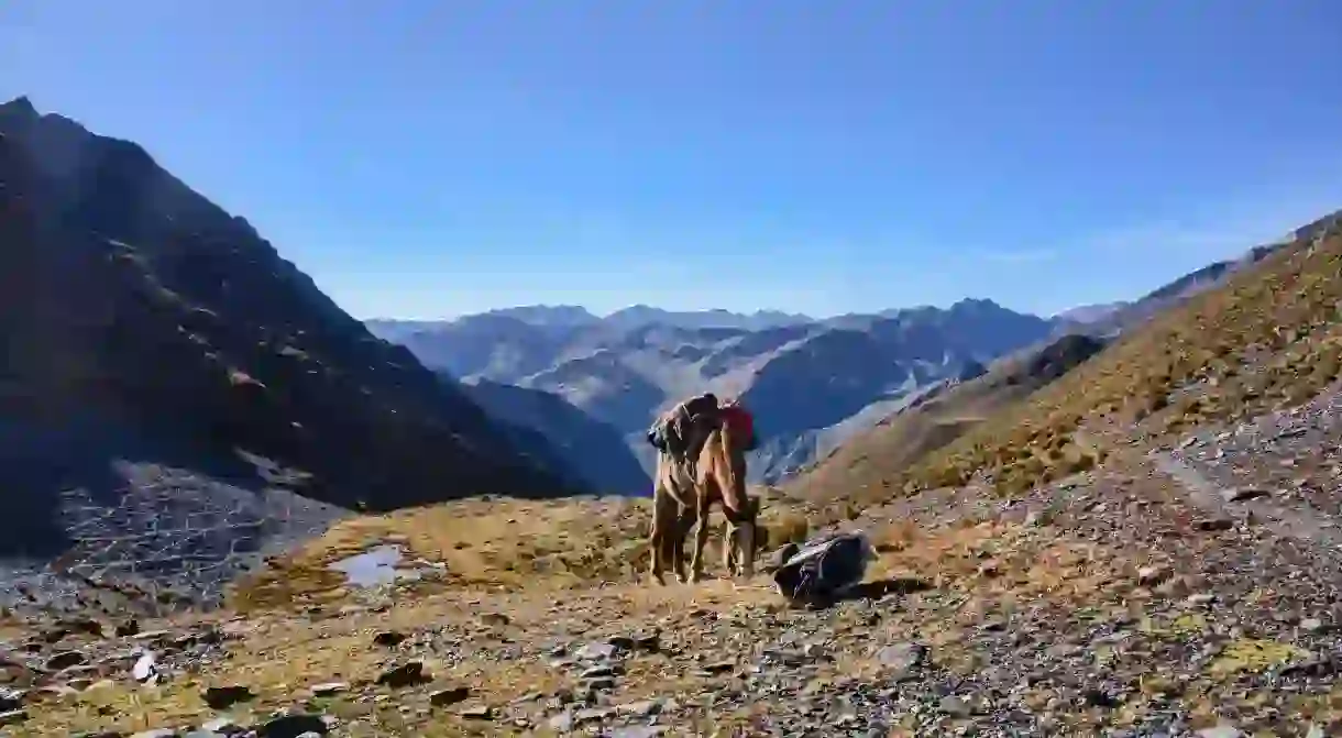 Trekking across the Cordillera Real mountain range, Bolivia