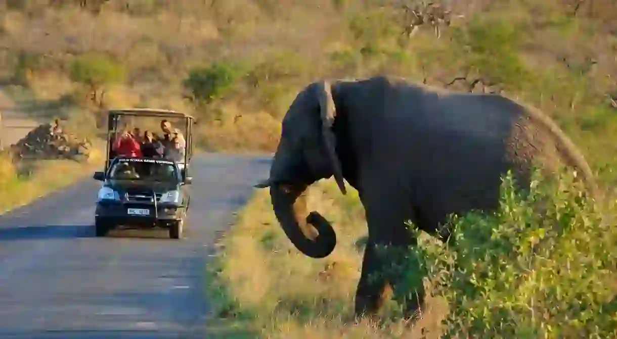 Safari in Hluhluwe Umfolozi National Park