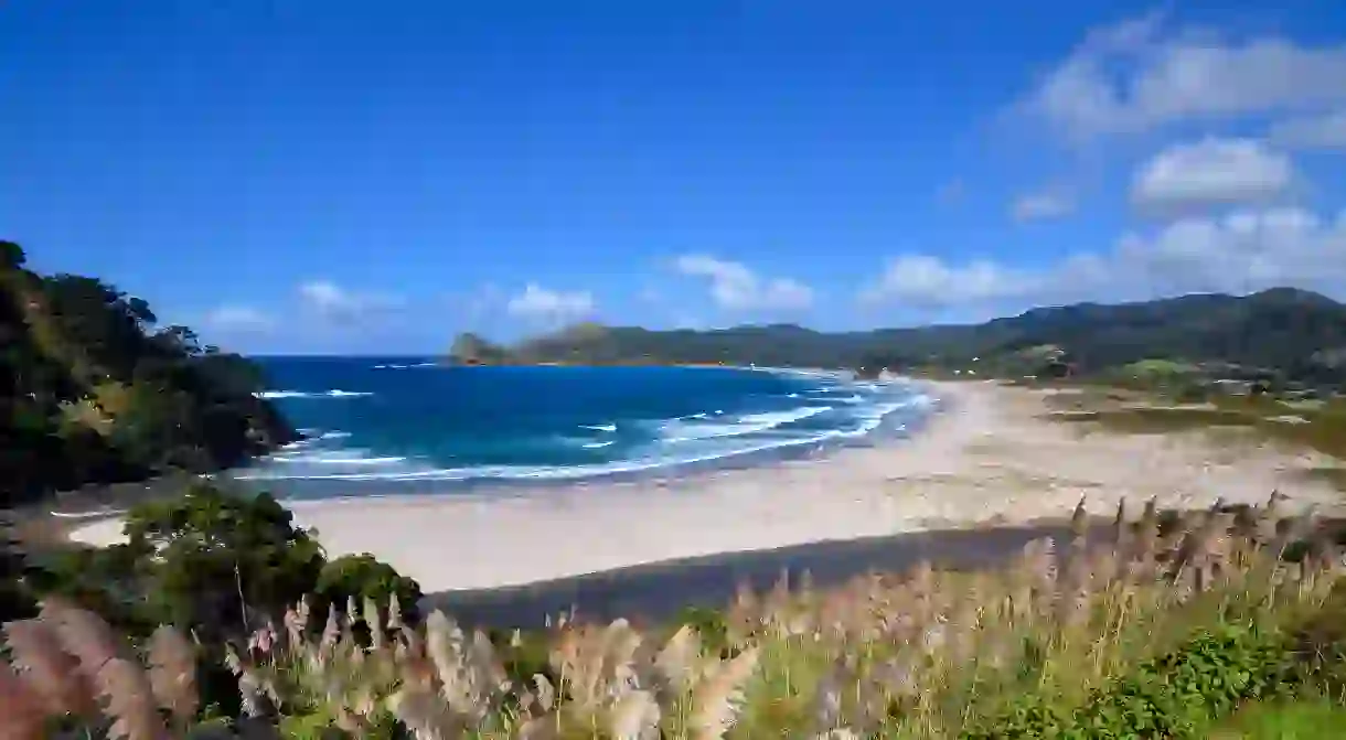 Medlands Beach is a must-see when on Great Barrier Island