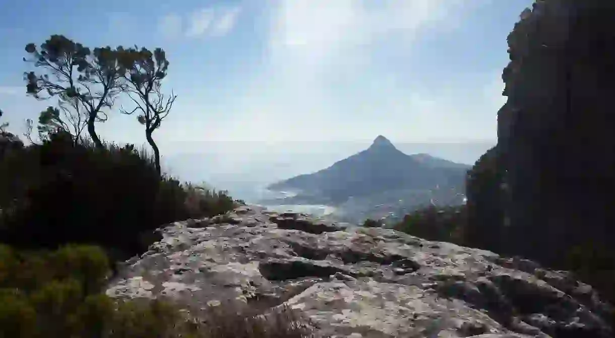 Discover Cape Town as an outdoor paradise by visiting its breathtaking waterfall